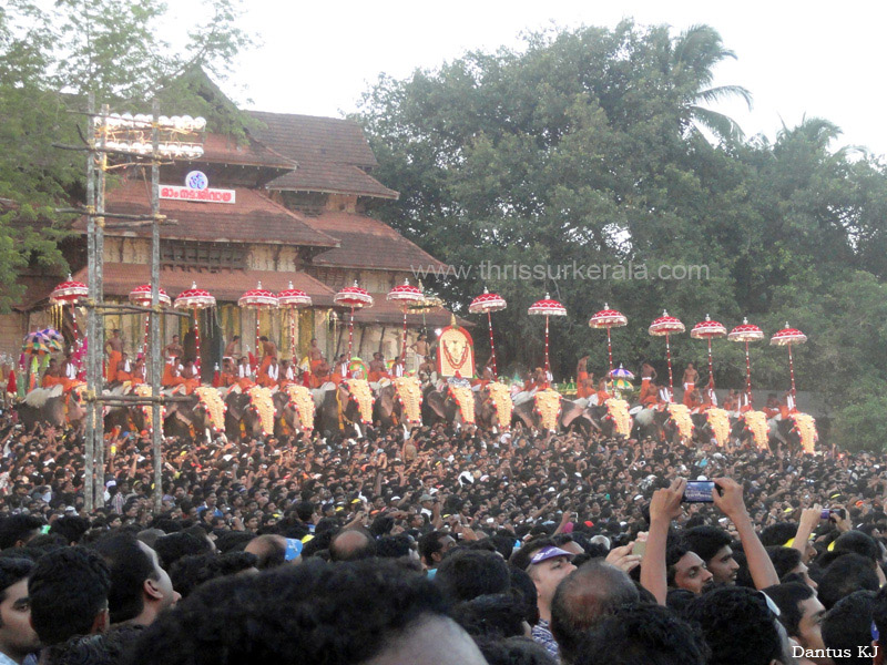 thrissur-pooram-2013-2 (16)